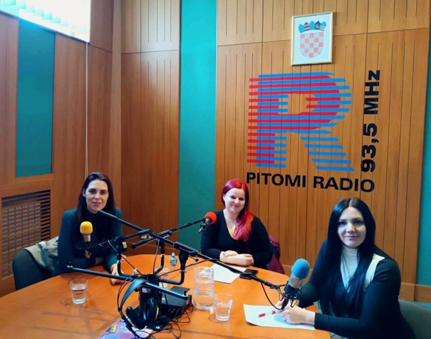 Aktivnosti županijskih timova za udomiteljstvo – Virovitičko-podravska županija