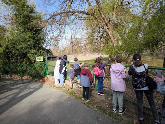 Suradnja s udrugom Breza - druženja, izleti i projekt PUT