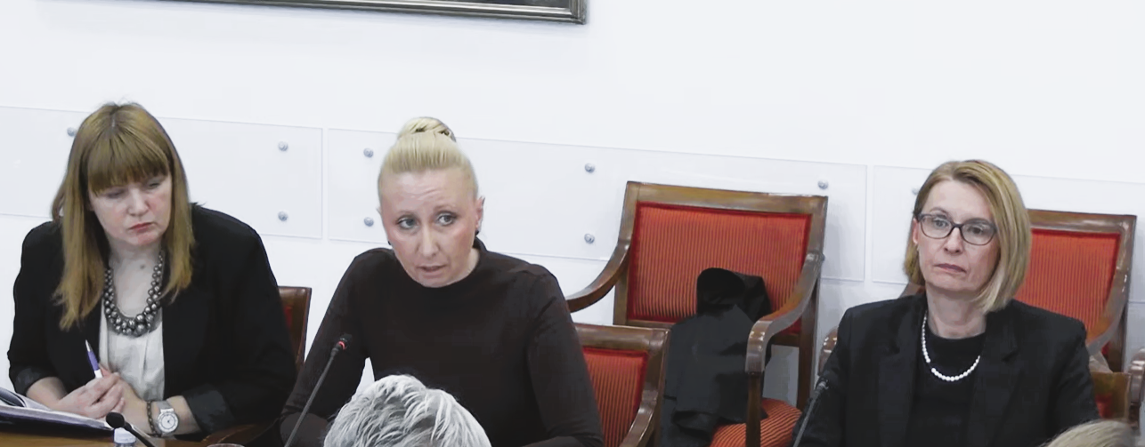 U Hrvatskom saboru održan tematski razgovor  „Posvojenje bez podrške – što treba mijenjati u sustavu?“