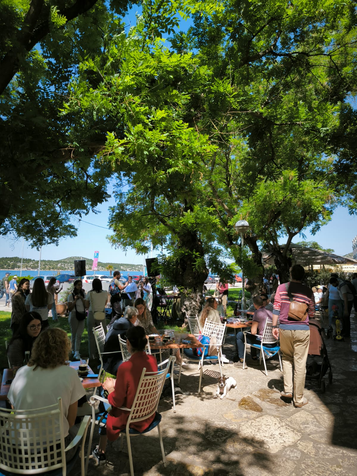 Obilježen Nacionalni dan udomitelja u Šibensko-kninskoj županiji